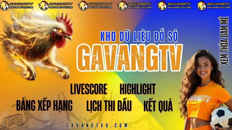 Kho dữ liệu bóng đá trực tuyến đầy đủ và dễ truy cập trên GavangTV